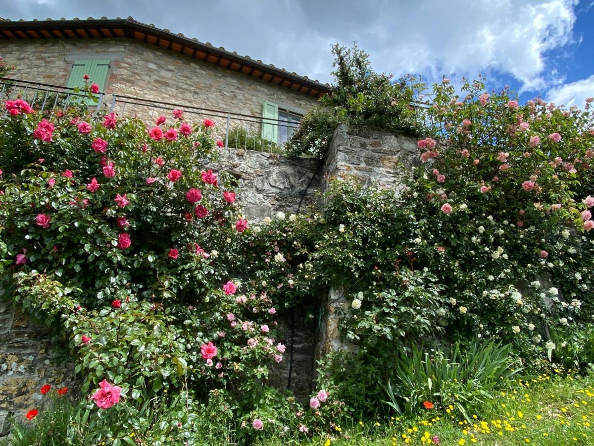 Florence Villa Violetta บันโญ อา ริโพลี ภายนอก รูปภาพ