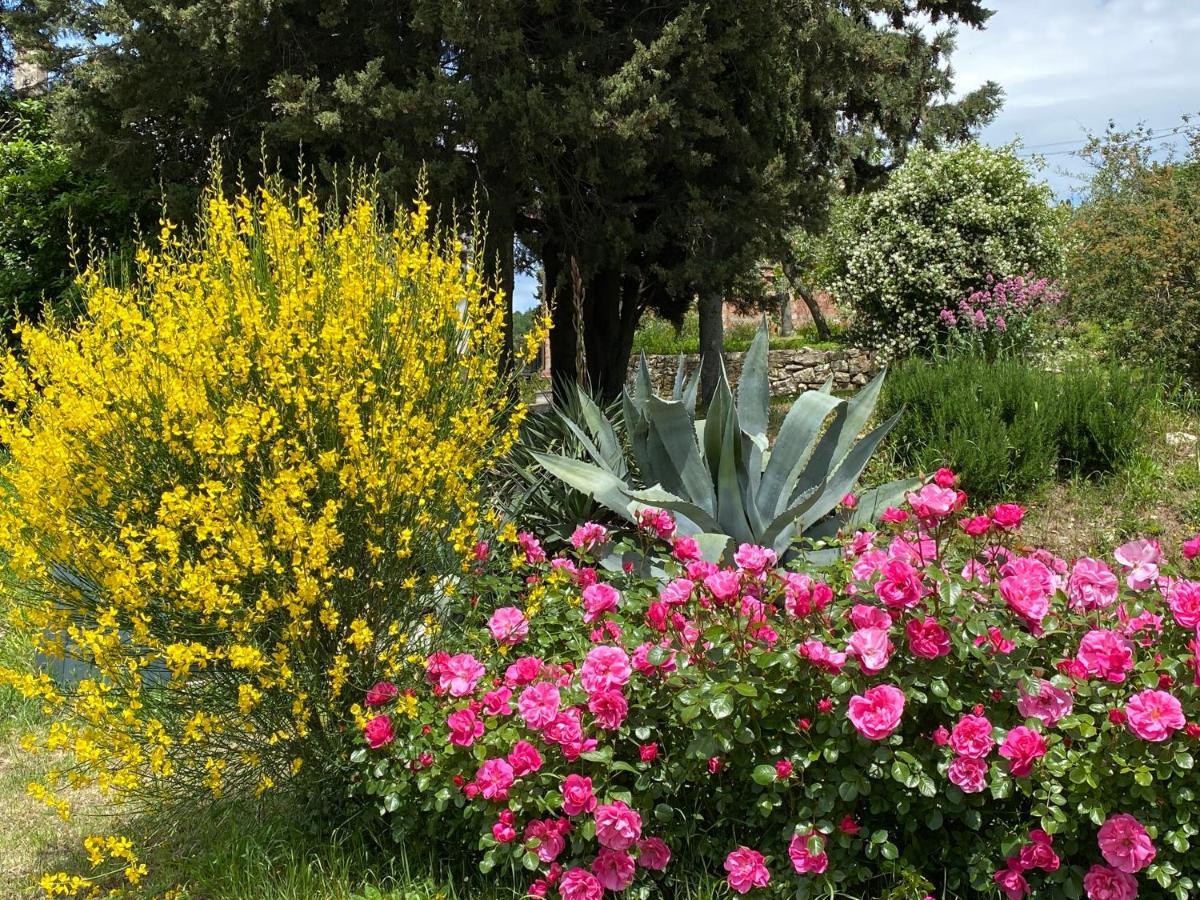 Florence Villa Violetta บันโญ อา ริโพลี ภายนอก รูปภาพ