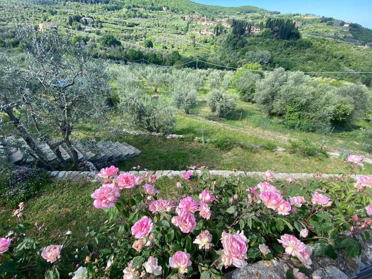 Florence Villa Violetta บันโญ อา ริโพลี ภายนอก รูปภาพ