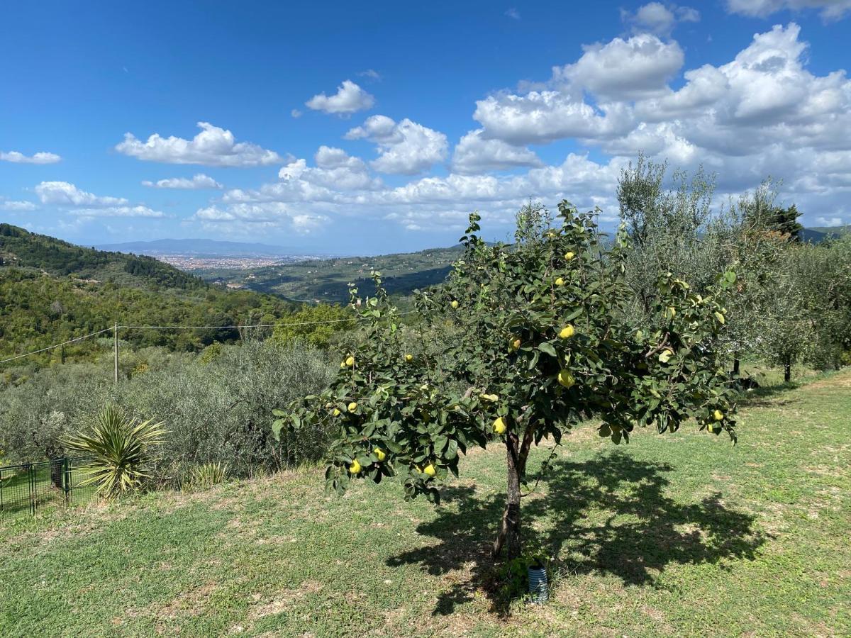 Florence Villa Violetta บันโญ อา ริโพลี ภายนอก รูปภาพ